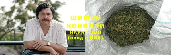 сатива Дмитровск