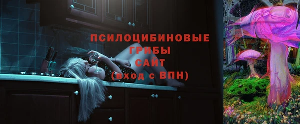 сатива Дмитриев
