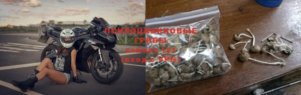 прущие крисы Дмитров