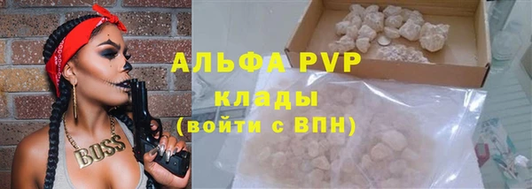 сатива Дмитриев