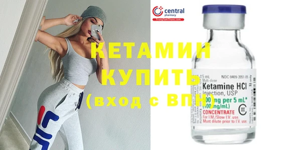 сатива Дмитриев