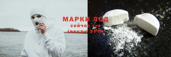 сатива Дмитровск