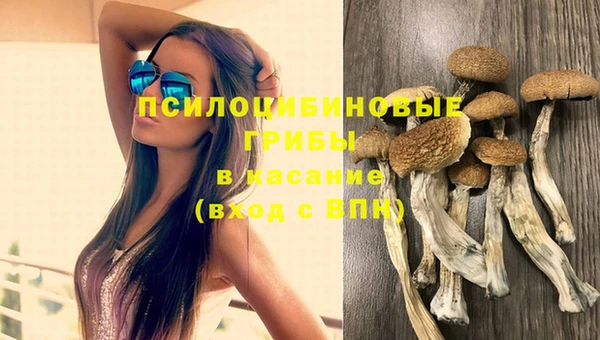 прущие крисы Дмитров