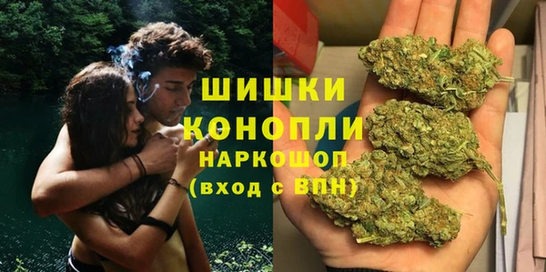 сатива Дмитриев
