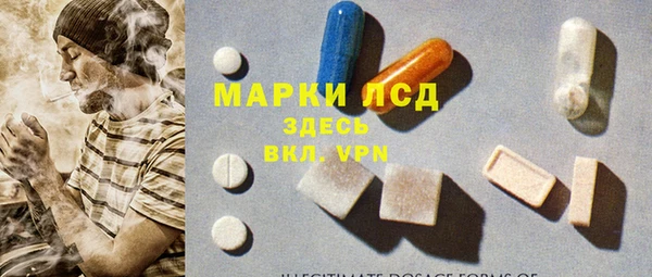 сатива Дмитровск