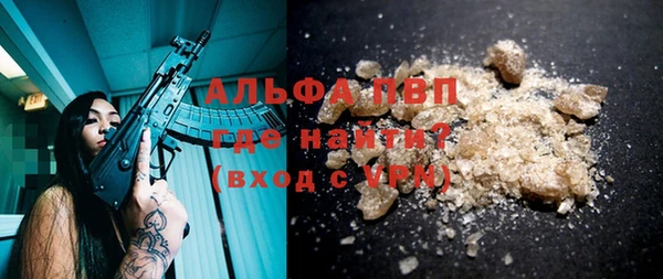 сатива Дмитровск