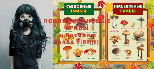 сатива Дмитровск