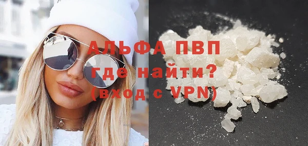 сатива Дмитриев