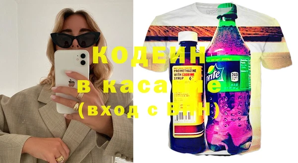 сатива Дмитриев