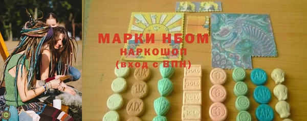 сатива Дмитровск