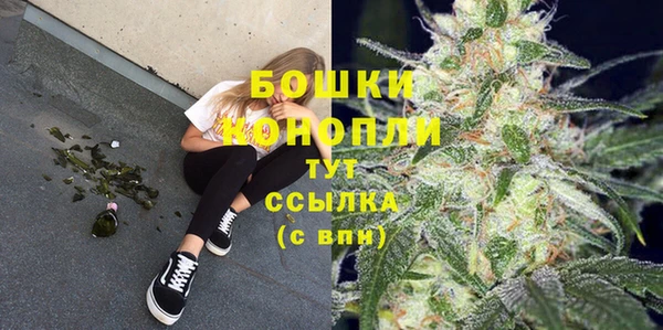 сатива Дмитриев