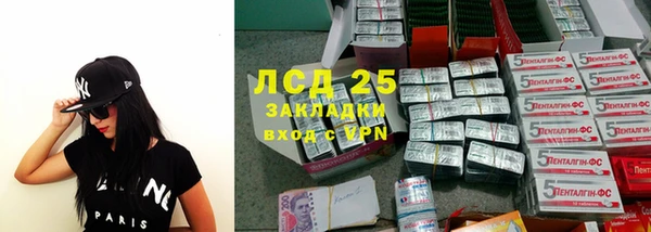 сатива Дмитриев