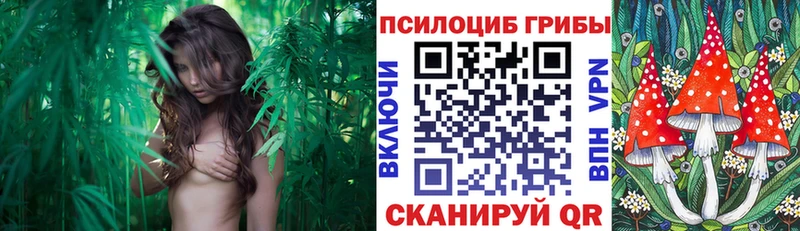 Псилоцибиновые грибы GOLDEN TEACHER  Купить  Певек 